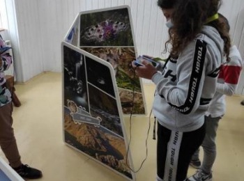 Osnovna škola