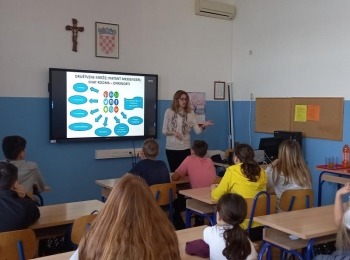 Osnovna škola