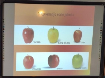 Osnovna škola Karlobag3