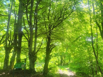 Osnovna škola Karlobag20250529 102619
