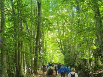Osnovna škola Karlobag20250529 103120