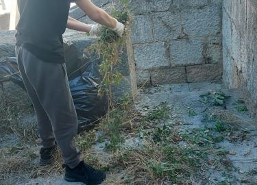 Zelena čistka u našoj školi