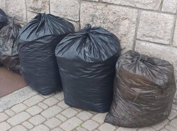Osnovna škola