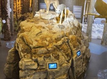 Osnovna škola