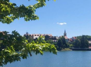 Osnovna škola